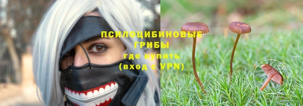 соль курить ск Новозыбков