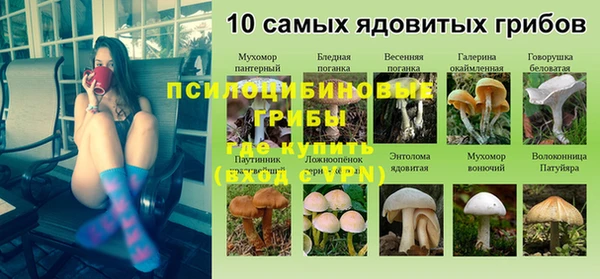кристаллы Новокубанск