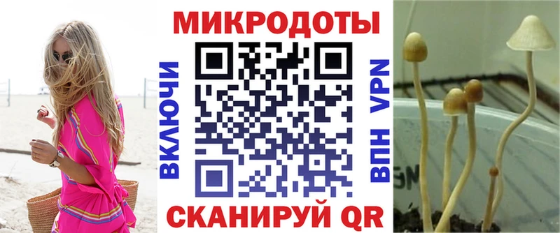 Галлюциногенные грибы MAGIC MUSHROOMS  kraken сайт  Иланский  сколько стоит 